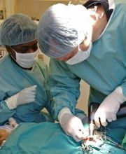 vetmed-Bonn GmbH Bild 1