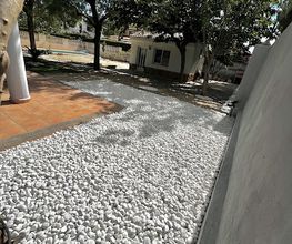 2024-10-082.jpg
