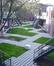 Viveiros Adoa, S.L. (Tameiga) imagen 12