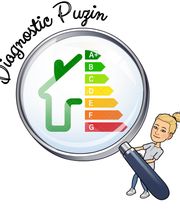 Diagnostic Puzin image 6