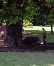 ABDF Bonadei & Chassot Bild 13