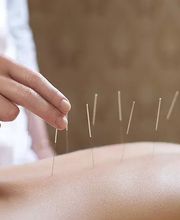 Bois d’Or MTC Sàrl