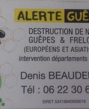 Alerte Guêpes image 1