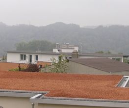 Mettler & Co. Bild 2