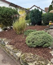 MEFA Garten- & Baumpflege Bild 9