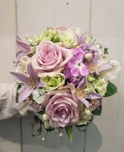 Blumen Fleischli Bild 2