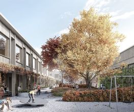 Lehmann AG Baumanagement + Immobilien Bild 9