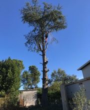 M.B.Elagage image 18