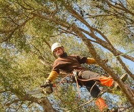 Vert Cleres image 13