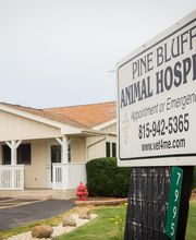 Pine Bluff Animal Hospital image 7