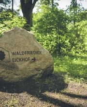 Forstgut Eickhof Bild 8
