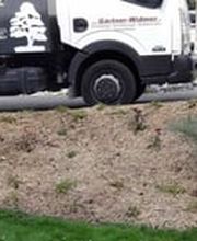 Gärtner Widmer Bild 2