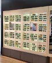 Eye Wish Opticiens Maarssen afbeelding 4