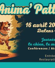 Anima 'Pattes image 4