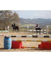 Centre Equestre Du Soularac image 2
