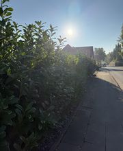 All Around Service Bild 14