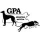 Greyhound Pets of America Massachusetts