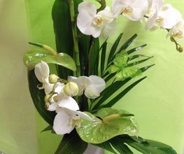 Laurence Fleurs image 1