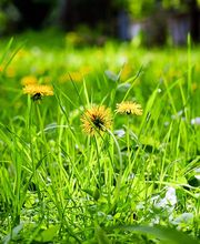 PiA-PFLEGETEAM Bild 2