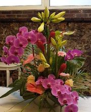 Fleurs Du Chateau image 6