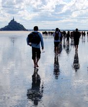 Découverte de la Baie du Mont Saint Michel - La Maison du Guide image 5