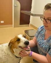 Archer Veterinary Clinic image 7