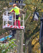 Forst- und Baumdienst Pels Bild 5