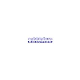 Sabbiature Biscottini Arterestauro logo