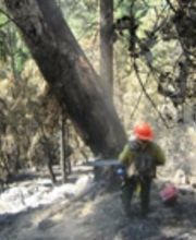 North Zone Fallers image 3