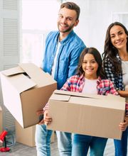 König Umzüge Bild 1