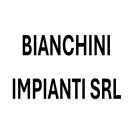 Bianchini Impianti S.r.l. logo