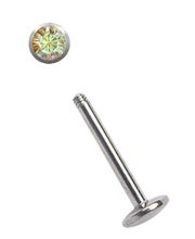 Modern Nature Piercingschmuck / Seeland & Eschbach GbR Bild 44