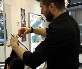 Gallery Cliente