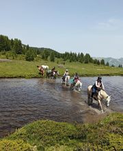 Les Sabots de Vénus image 3