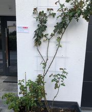 INQUA Institut für Coaching Bild 2