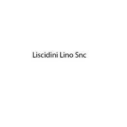 Liscidini Lino Snc logo