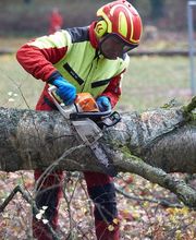 Frank Galster Forstunternehmen Bild 3