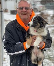 Dog Guard Midwest image 12