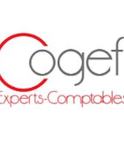 Cogefi image 1