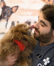 Oath Animal Hospital image 19