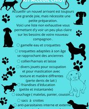 Éduc'Instinct image 10