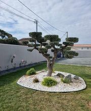 SARLU ROYAN AMENAGEMENT image 8