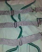 Equi'lavage image 14