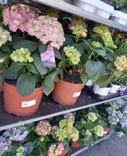 Bricomarché Chauny image 20