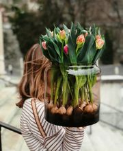 Fleuriot Manor Chavannes Bild 10