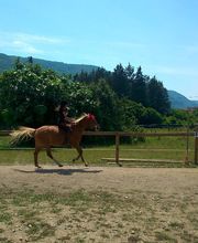 Cheval Vert image 5