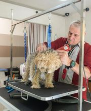 Profil Canin image 1