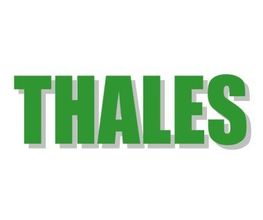 Thales image 2