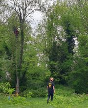 Tachet Pierre-Hubert image 4