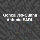 Goncalves Cunha Antonio